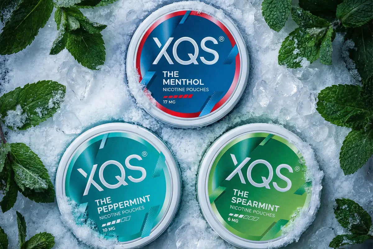 XQS brand header