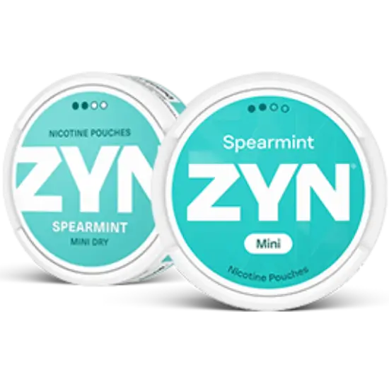 zyn-spearmint-mini-dry-regular