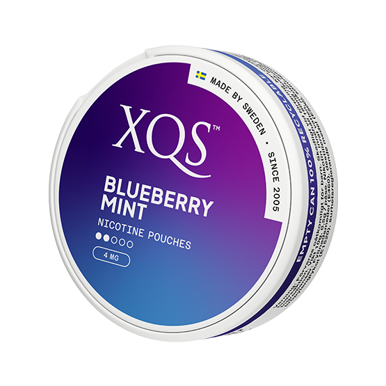 XQS Blueberry Mint