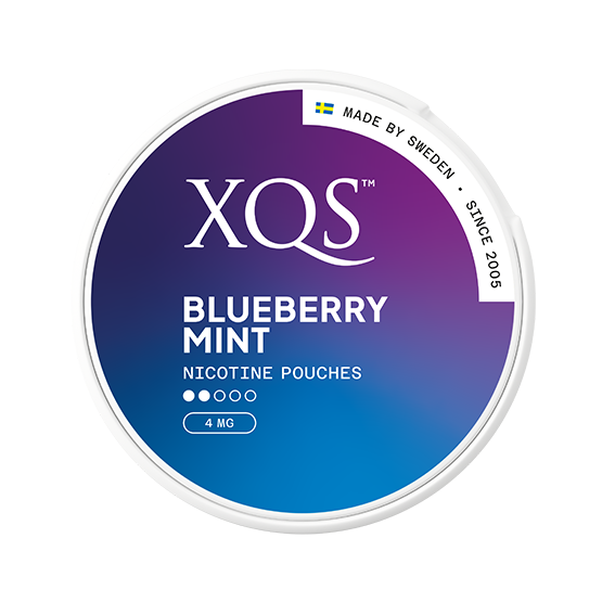 XQS Blueberry Mint