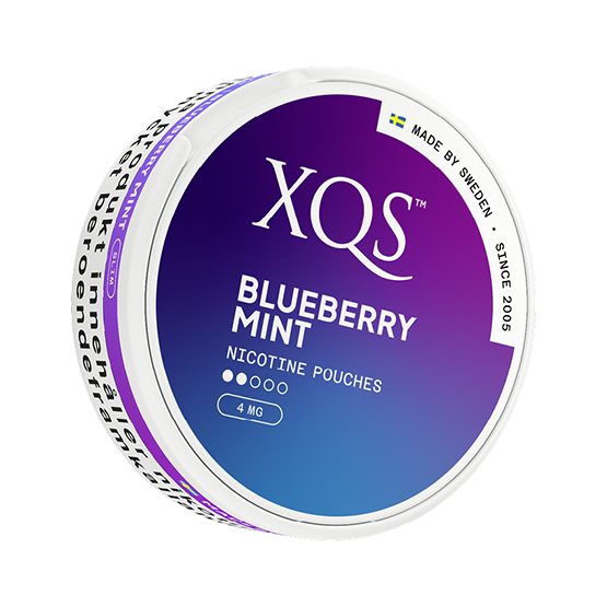 XQS Blueberry Mint