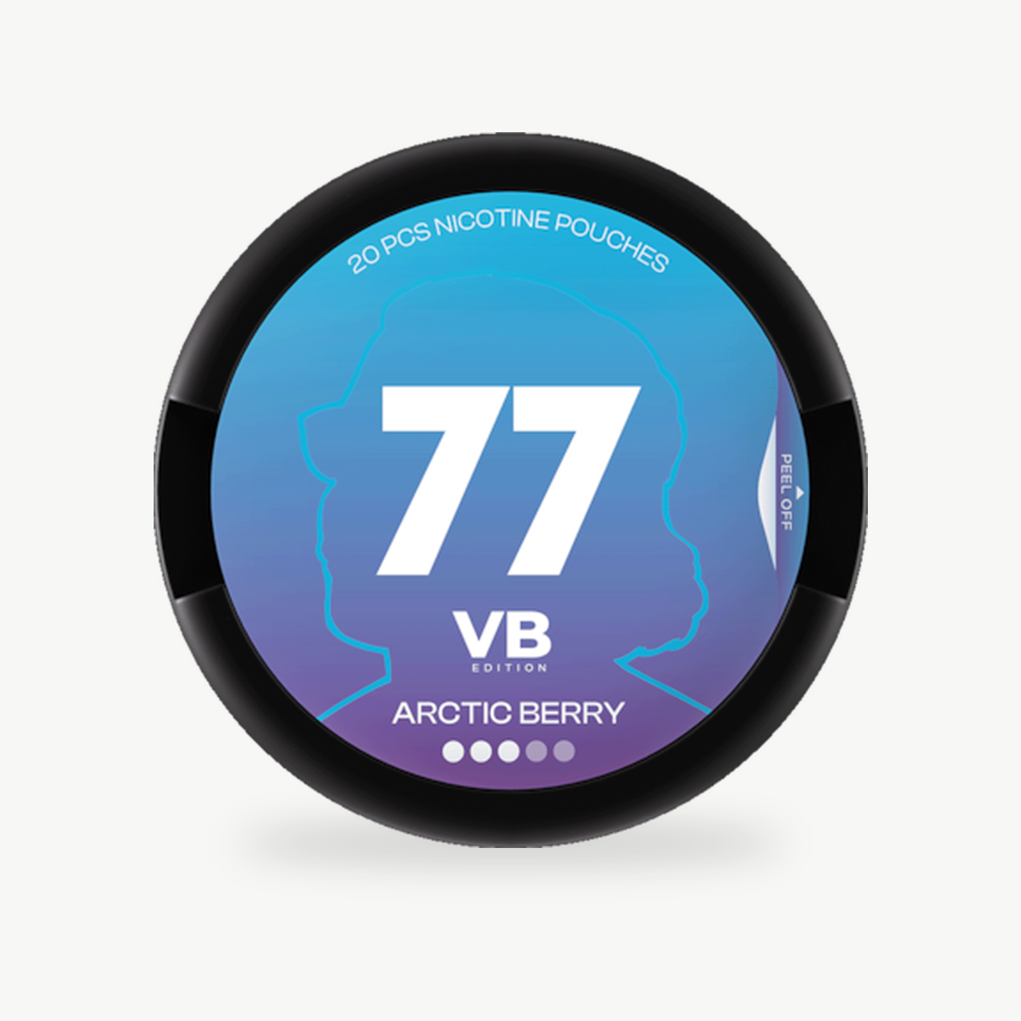 77 VB Edition Arctic Berry
