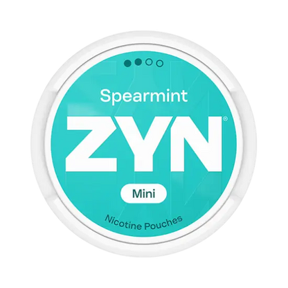 zyn-spearmint-mini-dry-regular