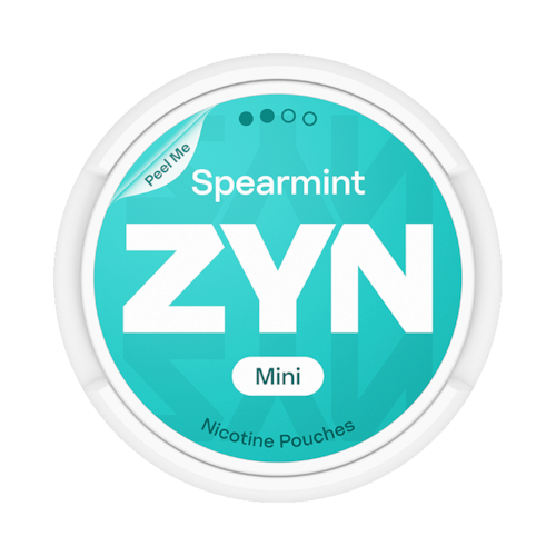 ZYN Spearmint Mini Dry Regular
