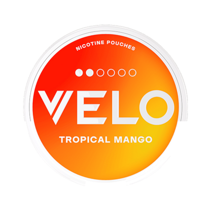 Velo Tropical / Breezy Mango Slim Regular