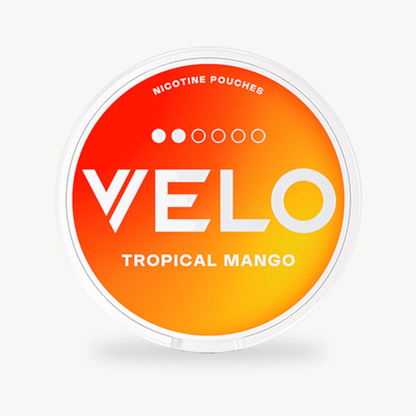 Velo Tropical / Breezy Mango Slim Regular
