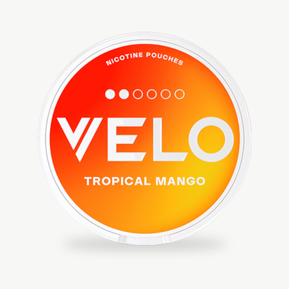 Velo Tropical / Breezy Mango Slim Regular