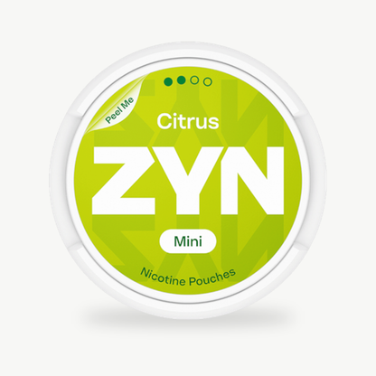 ZYN Citrus Mini Dry Regular