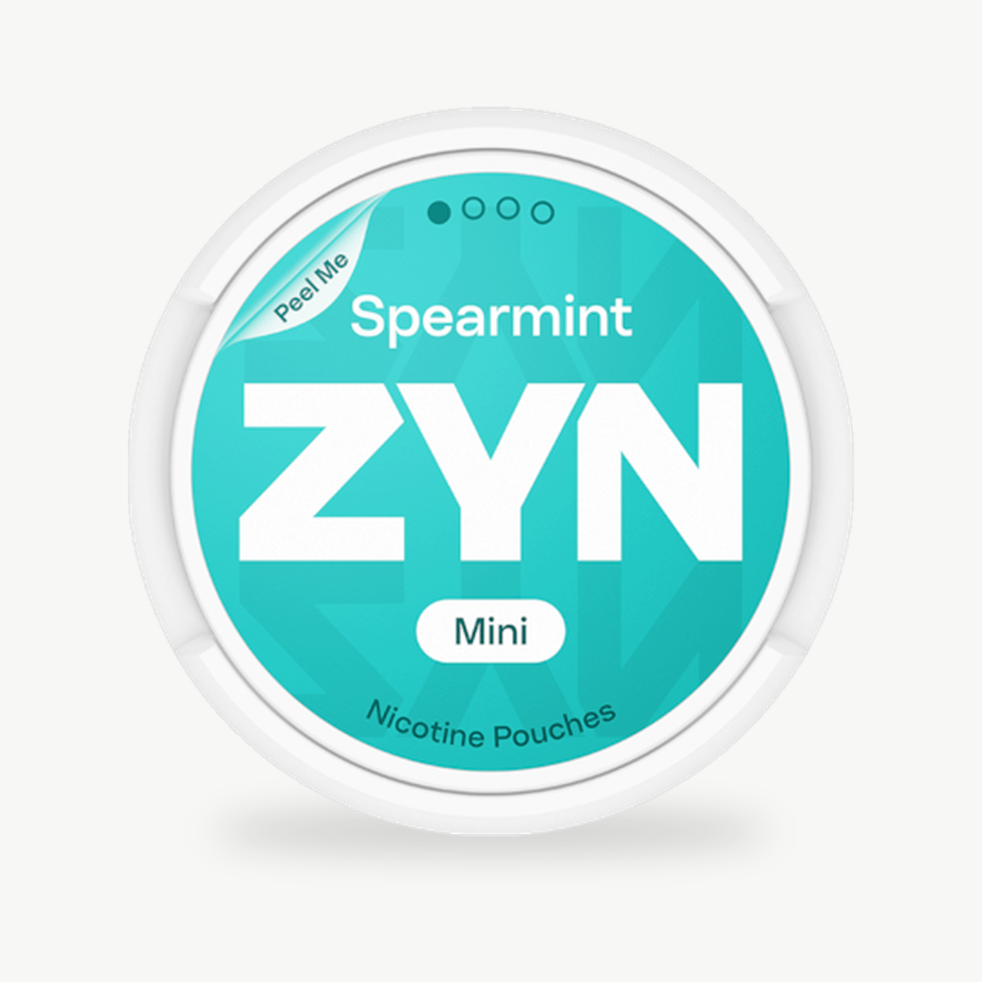 ZYN Spearmint Mini Dry