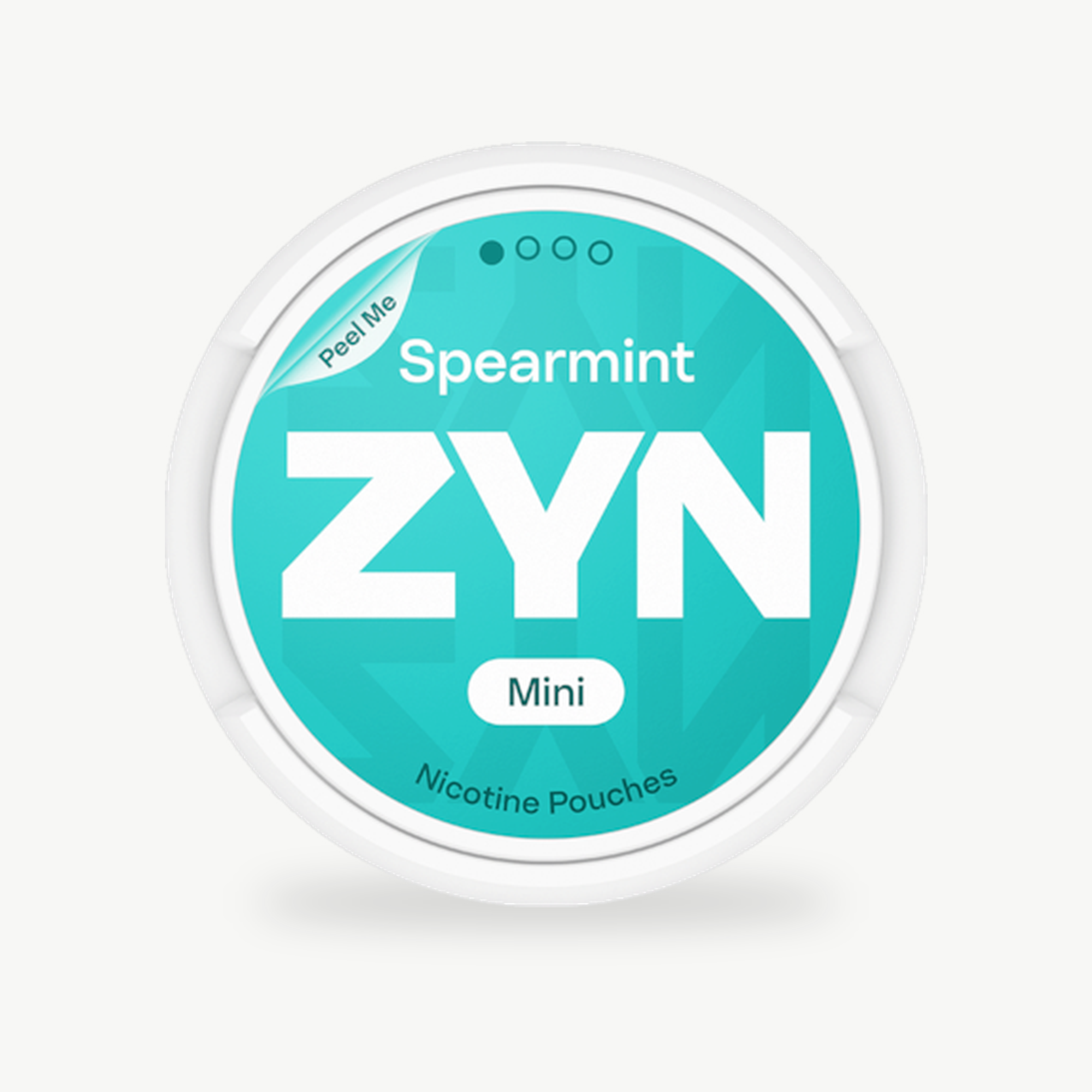 ZYN Spearmint Mini Dry